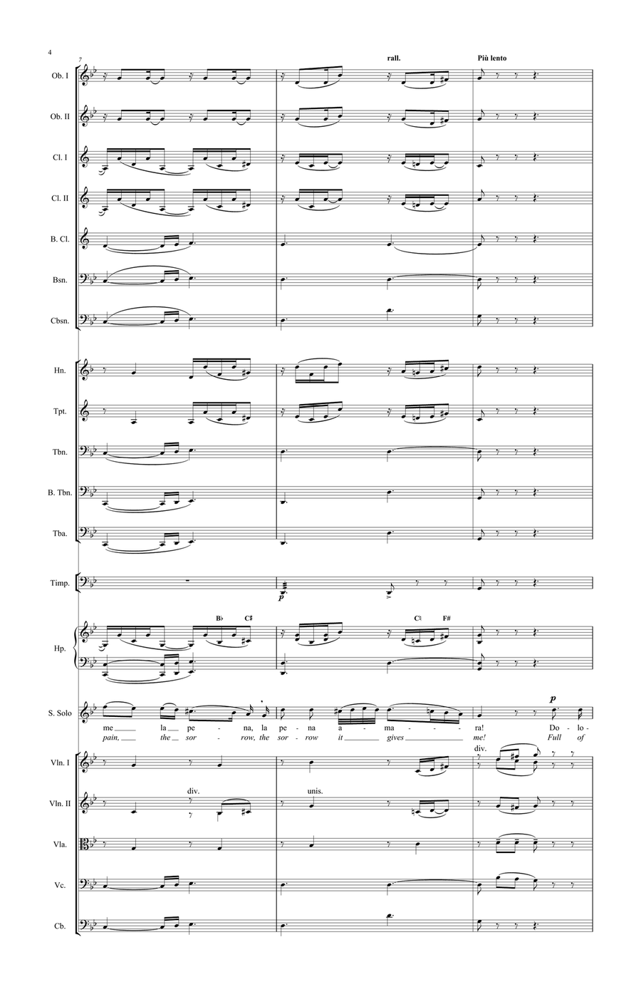 Separazione (Parting) - Version for Voice and Orchestra Chamber Orchestra scores gallery preview page 3