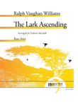 The Lark Ascending for Flute Choir mini preview