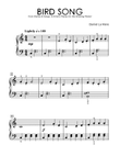 Bird Song
