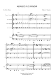 Albinoni / Giazotto - Adagio in G Minor - for Recorder Quartet and Organ