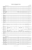 Beethoven's 5th Symphony on Samba Fantasy