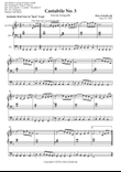 Cantabile n° 3 “Inverno tranquillo