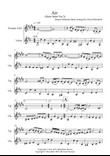 Air on a G String for Trumpet and Violin Duet mini preview