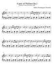 A pair of Waltzes Op.2