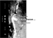 Aldebaran