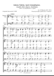 Venid fieles todos (O come all ye faithful)