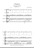 5 Ringtones for Percussion Ensemble: Ringtone 3