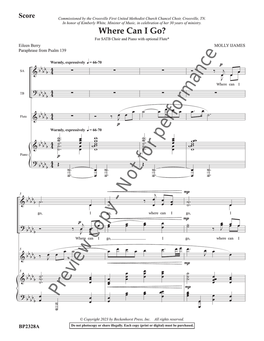 Where Can I Go? - flute score and part Flute scores gallery preview page 2