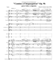 Camino a Choquequirao Op. 9b for viola and orchestra