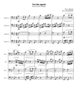 Voi che sapete (from The Marriage of Figaro) - Bassoon Quartet
