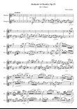 Franz Doppler - Andante et Rondo, Op.25 - For 2 Flutes Original