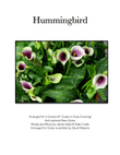 Hummingbird