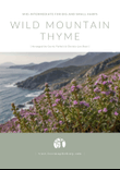 Wild Mountain Thyme