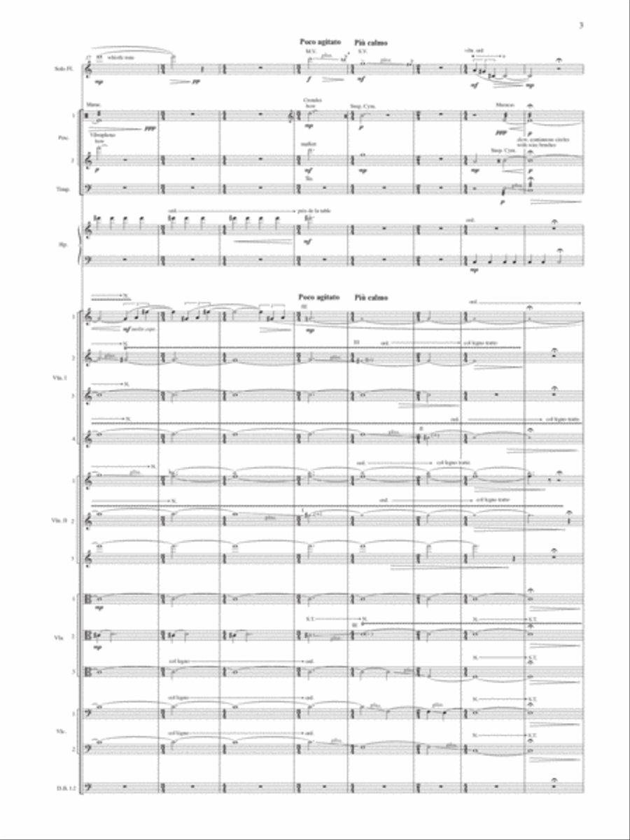 Aile du songe (Chamber Version) - Study Score Choir scores gallery preview page 3
