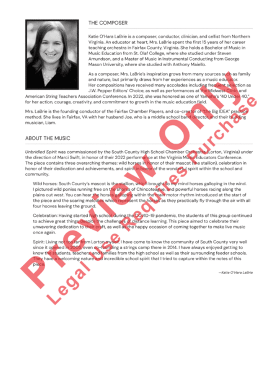 Unbridled Spirit Unbridled Spirit String Orchestra scores gallery preview page 3