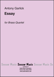 Essay