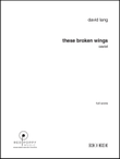 these broken wings