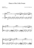 Dance of the Little Swans mini preview