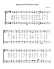 Angularis Fundamentum