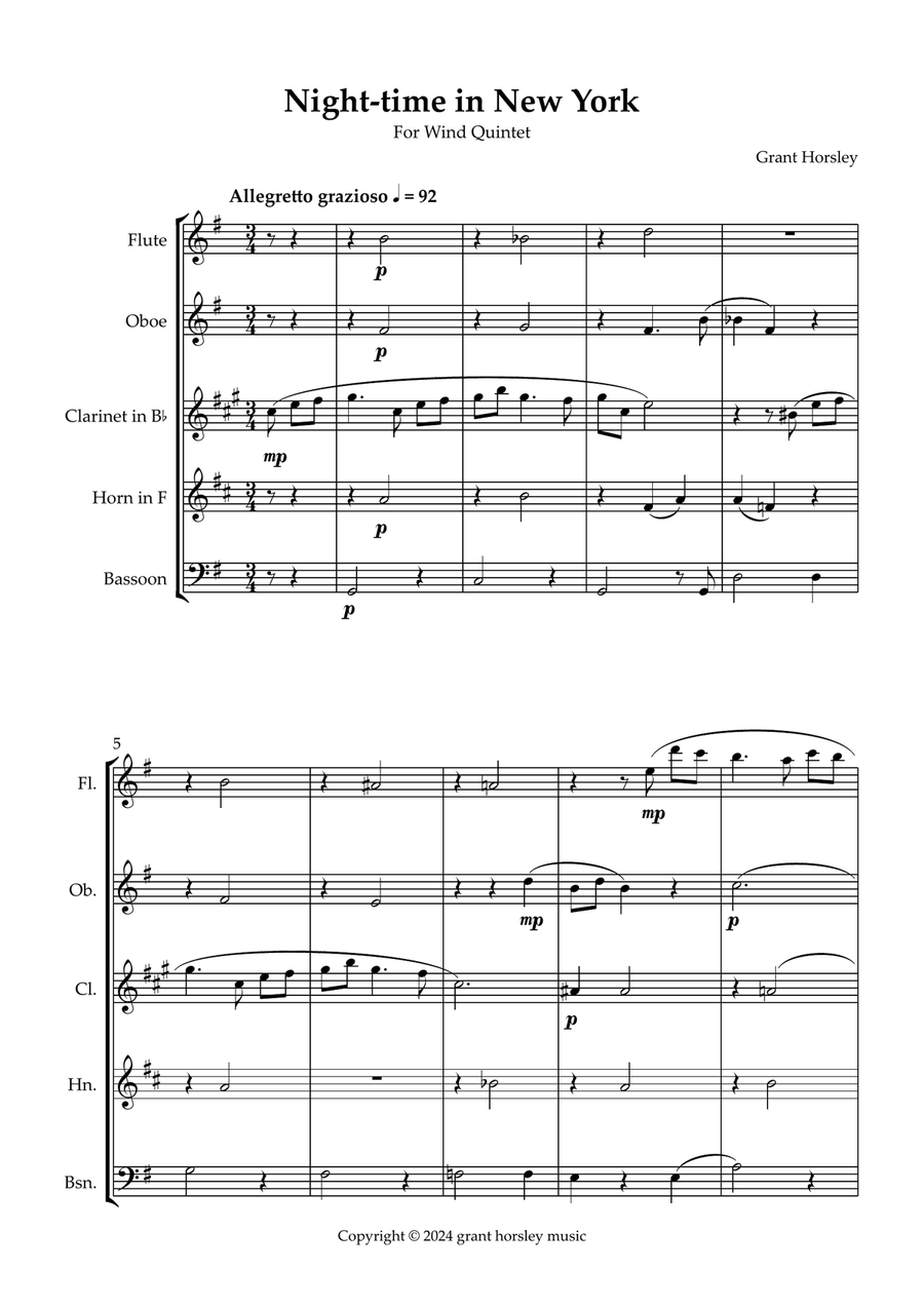 Night time in New York A blue waltz for Wind Quintet. Woodwind Quintet scores gallery preview page 2