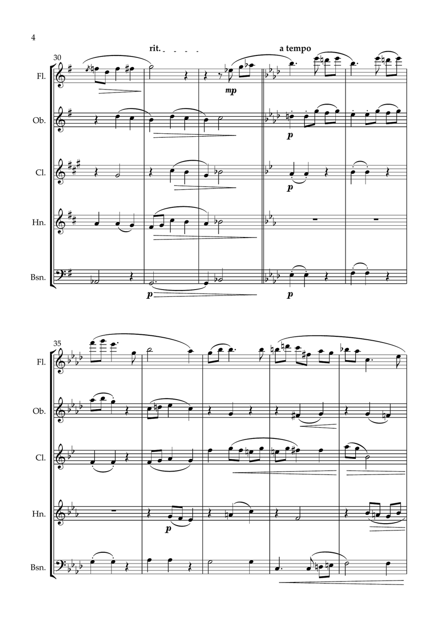 Night time in New York A blue waltz for Wind Quintet. Woodwind Quintet scores gallery preview page 5