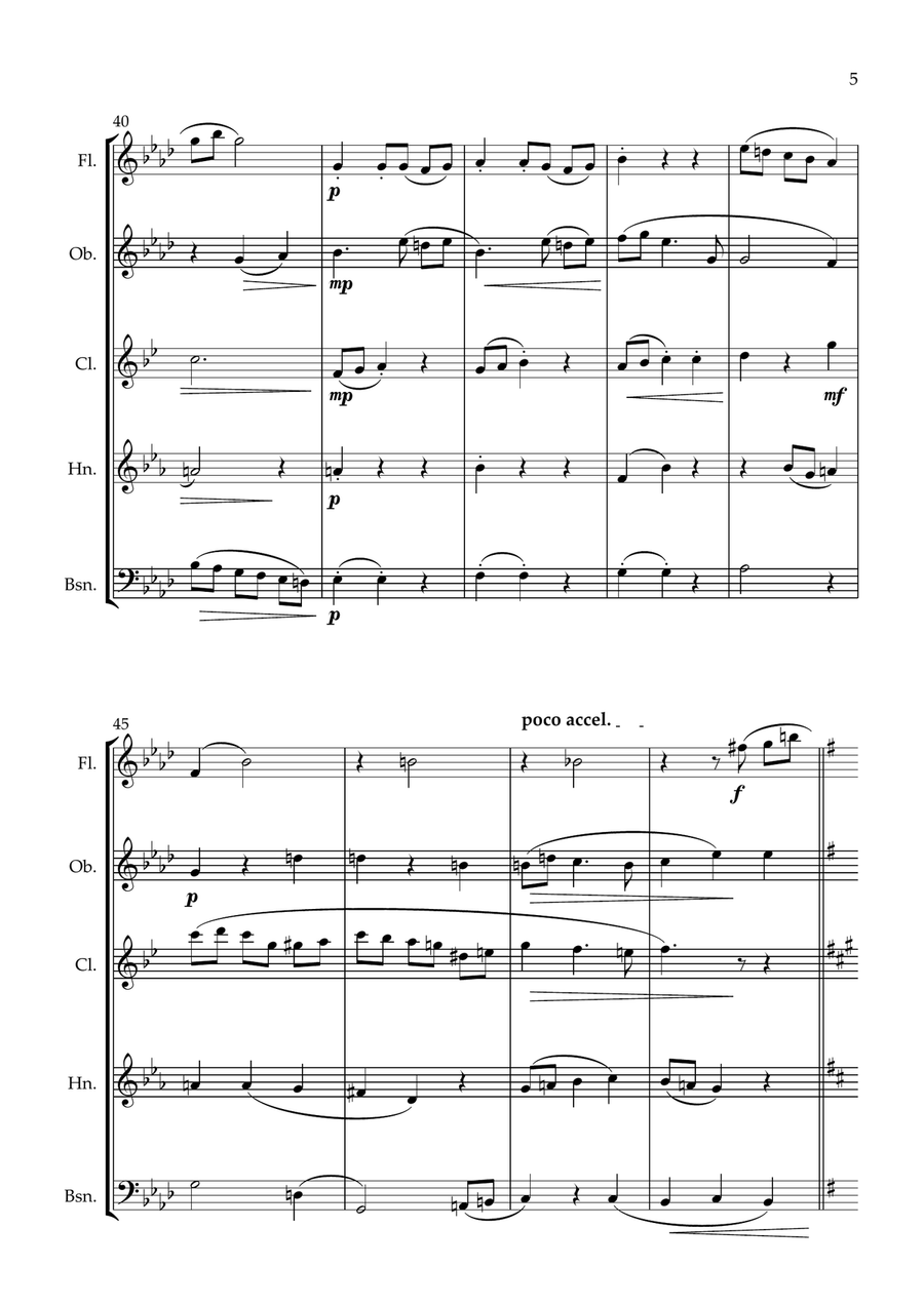 Night time in New York A blue waltz for Wind Quintet. Woodwind Quintet scores gallery preview page 6