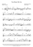You Raise Me Up mini preview