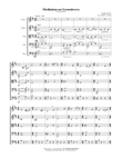 Meditation on Greensleeves (for String Orchestra)