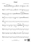 Primal: Baritone B.C.