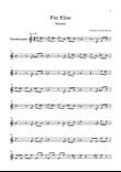Ludwig van Beethoven's 