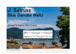 Blue Danube