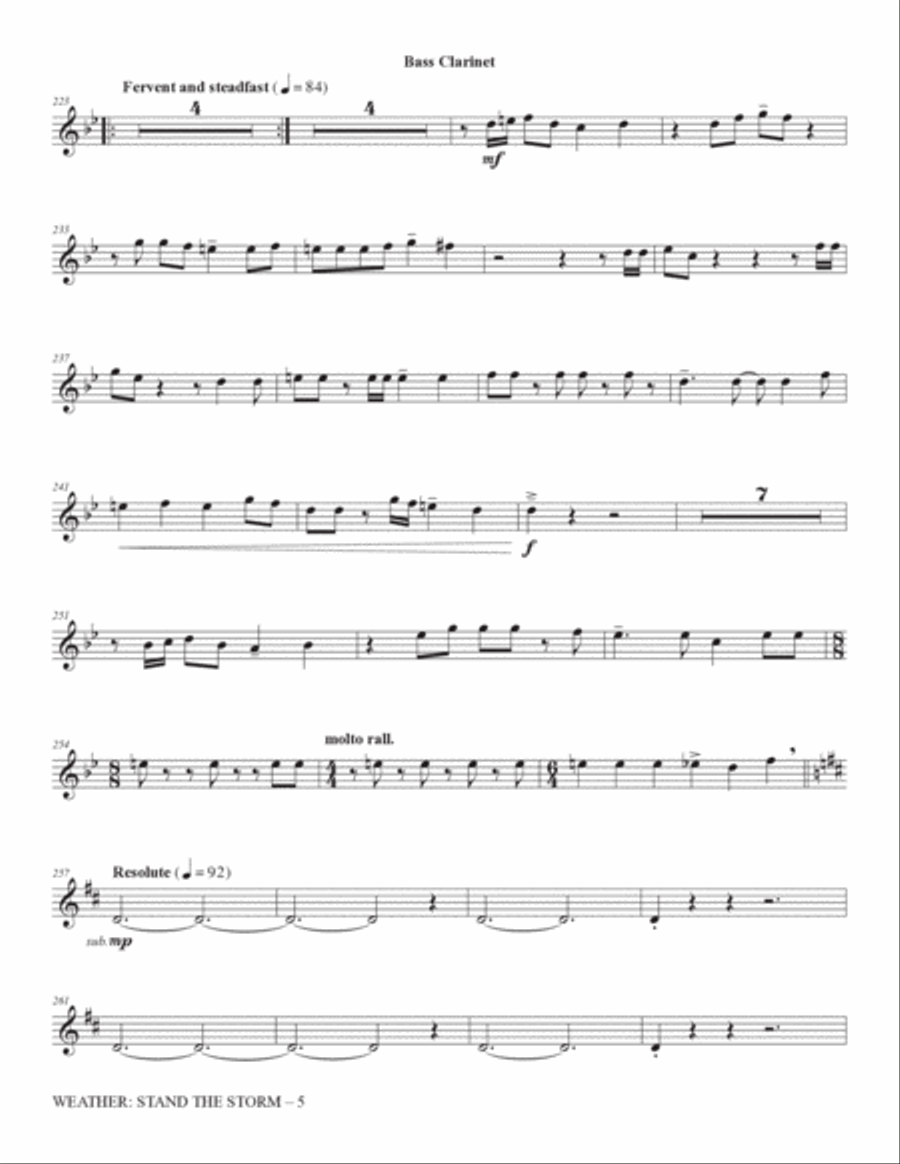 Weather: Stand The Storm (Full Orchestration) - Bass Clarinet Choir scores gallery preview page 5
