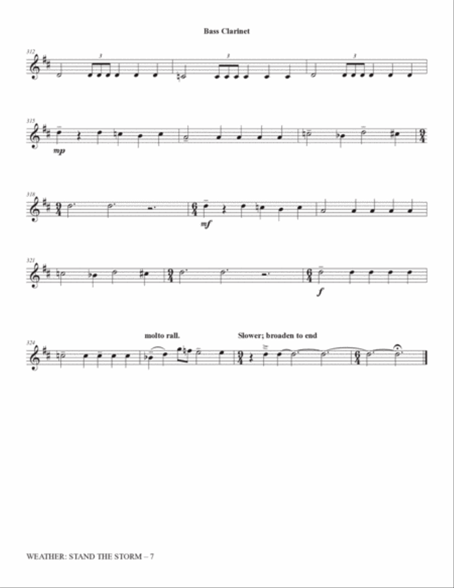 Weather: Stand The Storm (Full Orchestration) - Bass Clarinet Choir scores gallery preview page 7