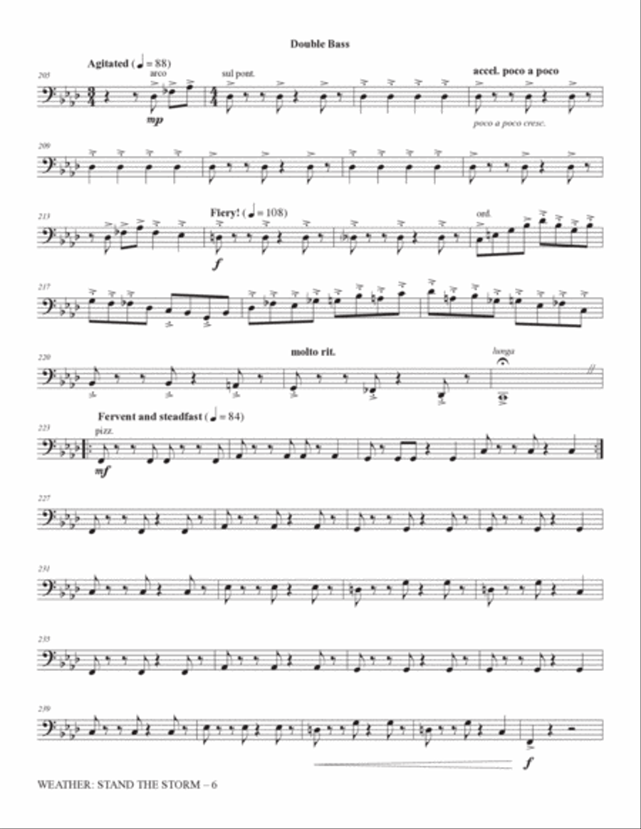 Weather: Stand The Storm (Rhythm Ensemble) - Double Bass Choir scores gallery preview page 6