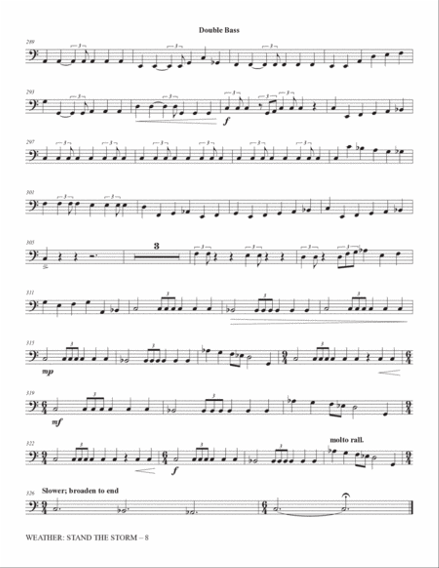 Weather: Stand The Storm (Rhythm Ensemble) - Double Bass Choir scores gallery preview page 8