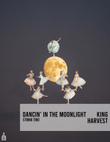 Dancin' In The Moonlight