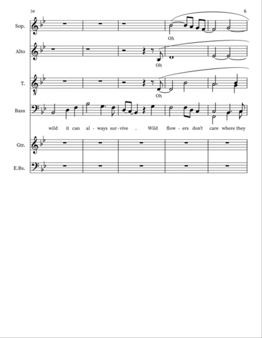 Wildflowers 4-Part scores gallery preview page 6