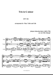 Trio in G Minor BWV 584 - Score Only