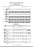 The Magic Flute - Ach Ich Fuhls (Mozart)