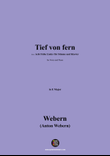 Webern-Tief von fern,in E Major