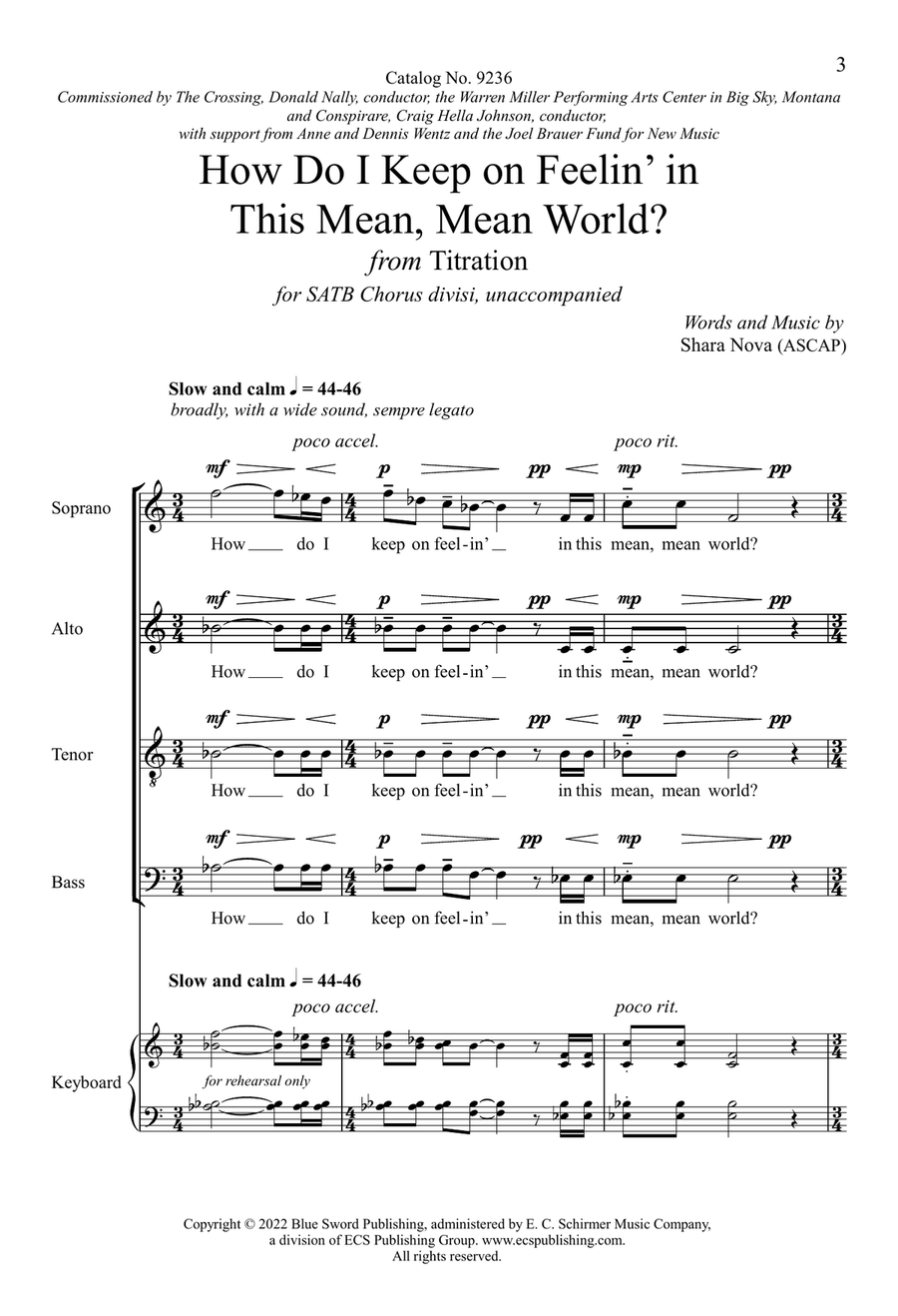 How Do I Keep on Feelin' in This Mean, Mean World? (Downloadable) Divisi scores gallery preview page 3