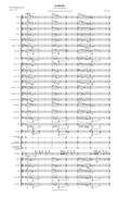 Animalia forSolo Flute and Orchestra