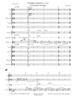 Trumpet Concerto