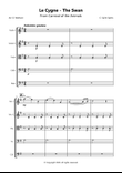 The Swan for String Orchestra