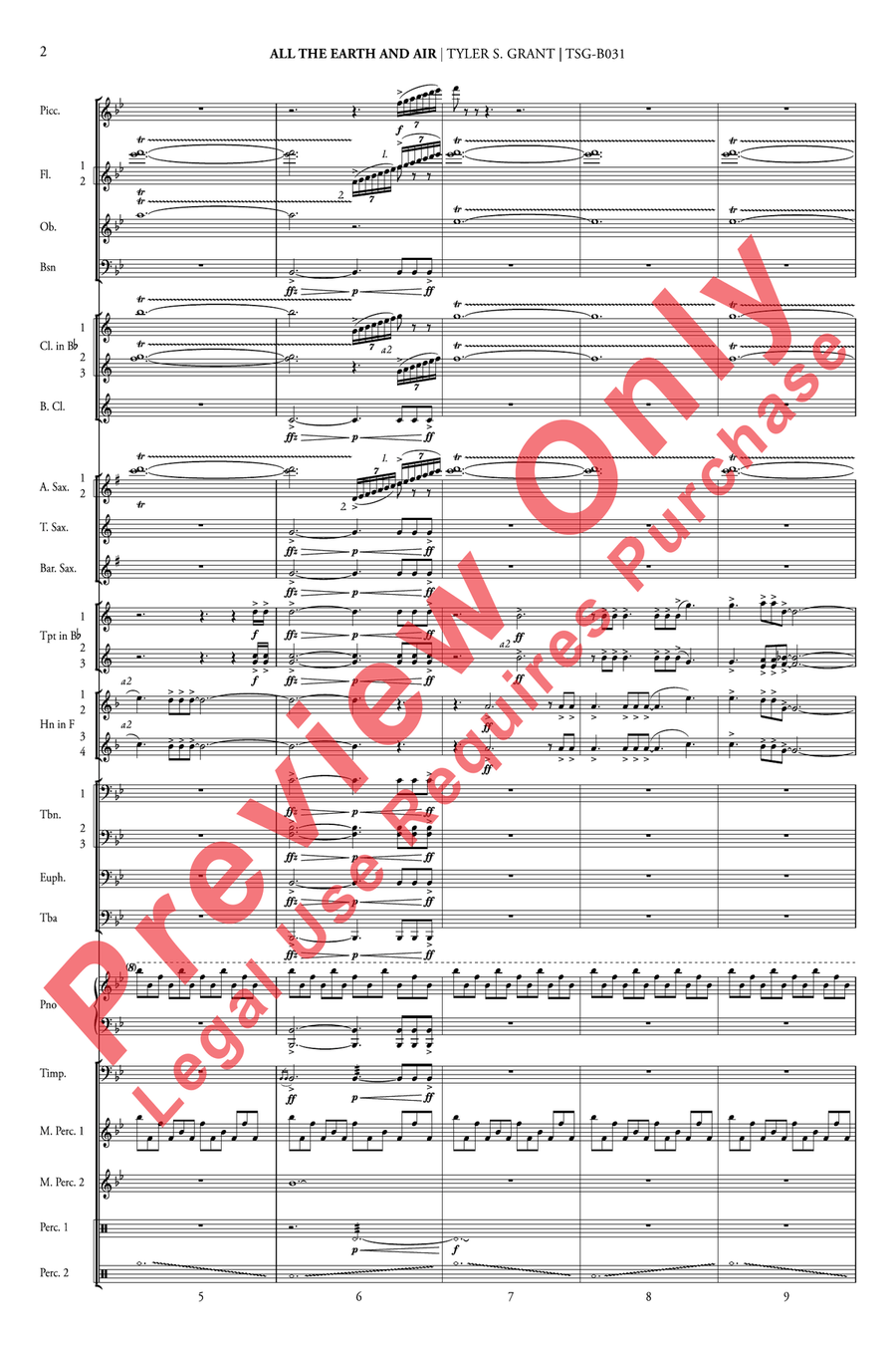 All the Earth and Air All the Earth and Air Concert Band scores gallery preview page 6