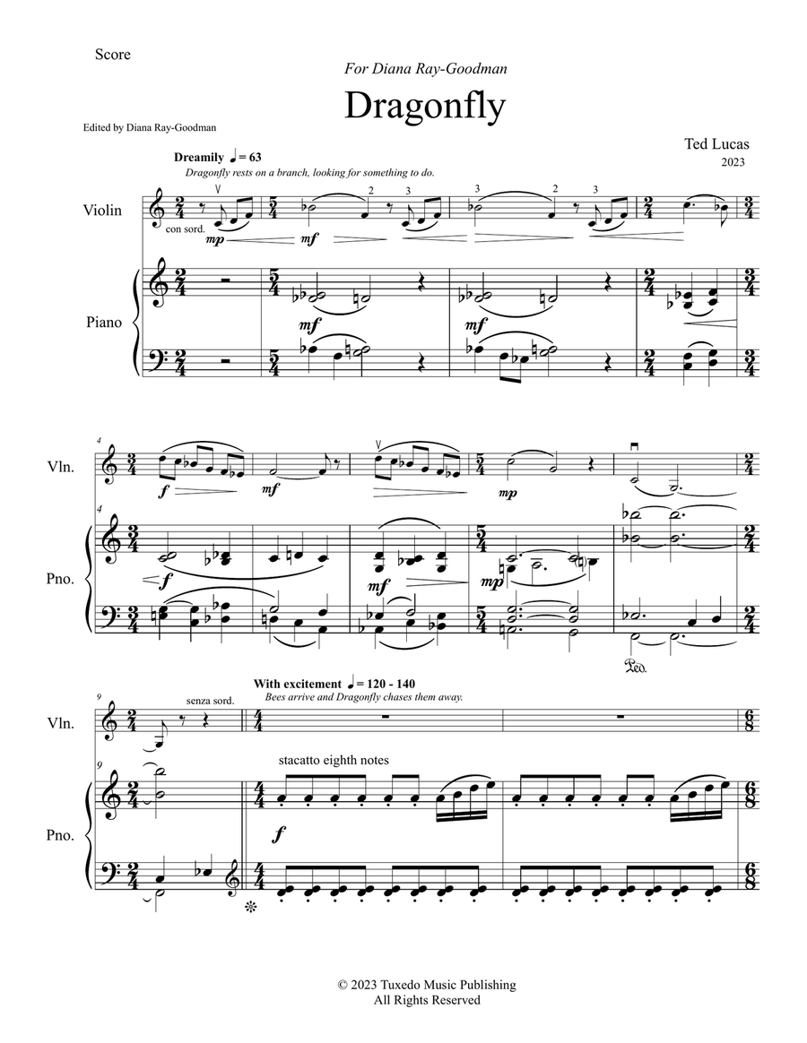DRAGONFLY DRAGONFLY Violin Solo scores gallery preview page 2