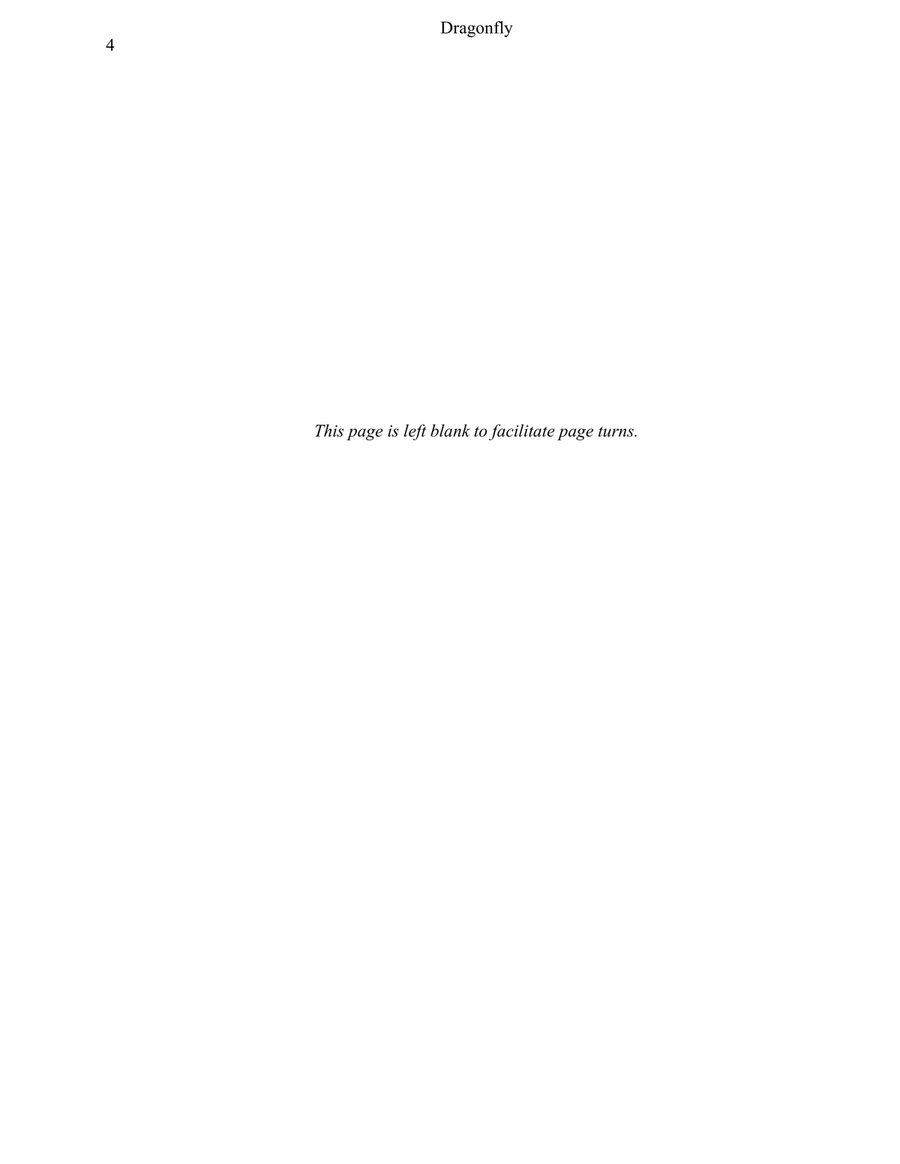 DRAGONFLY DRAGONFLY Violin Solo scores gallery preview page 5