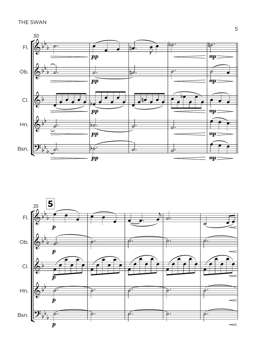The Swan (easy) - Saint-Saëns - WIND QUINTET Woodwind Quintet scores gallery preview page 5