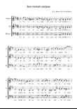 Ave verum corpus