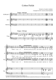 Cotton Fields (The Cotton Song)